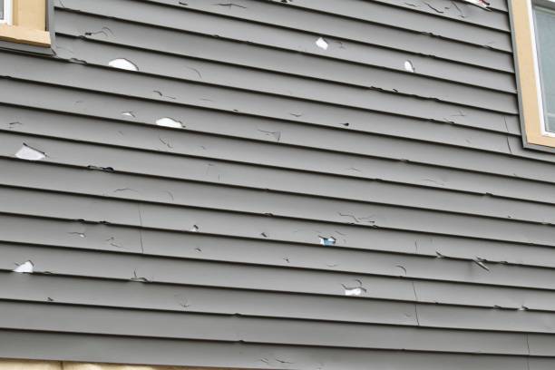 Professional Siding Services in Fernley, NV